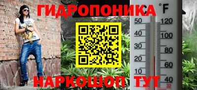 молекула духа Гусиноозёрск