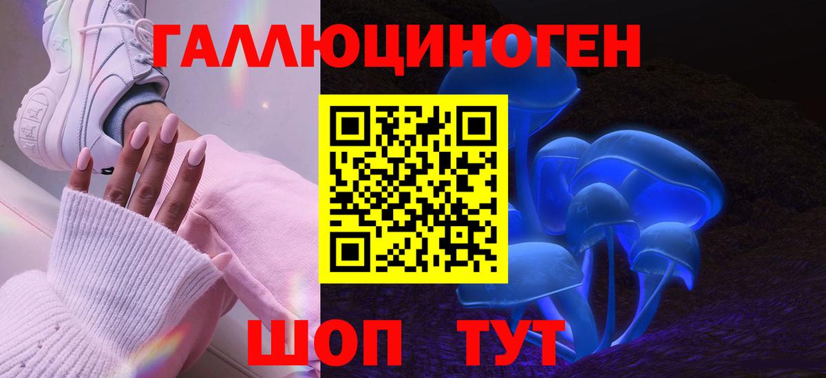 закладка  Галлюциногенные грибы GOLDEN TEACHER  Вход с VPN  Моздок 