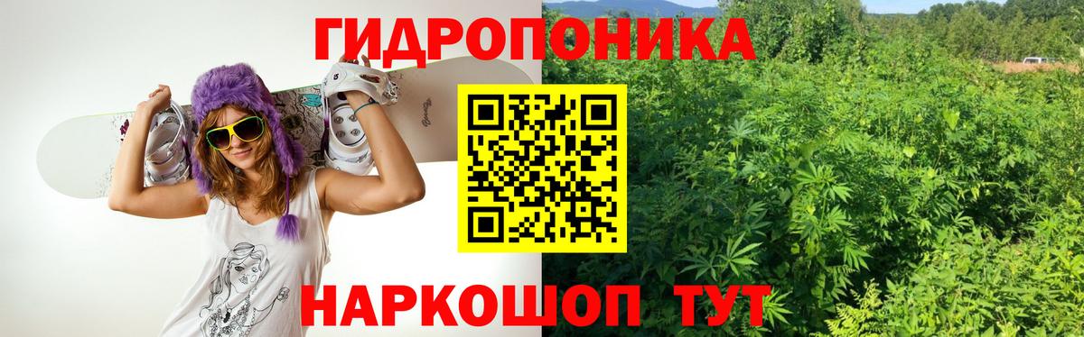 Конопля Bruce Banner  Шишки марихуана гибрид  Вход с VPN  Моздок  Шишки марихуана ГИДРОПОН  Канабис THC 21% 